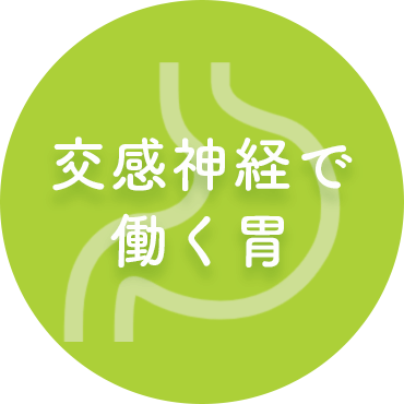 交感神経で働く胃