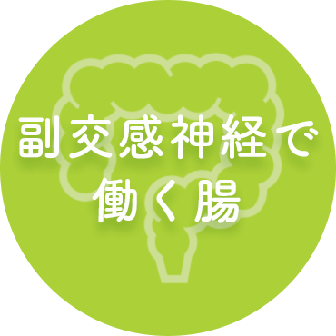 副交感神経で働く腸